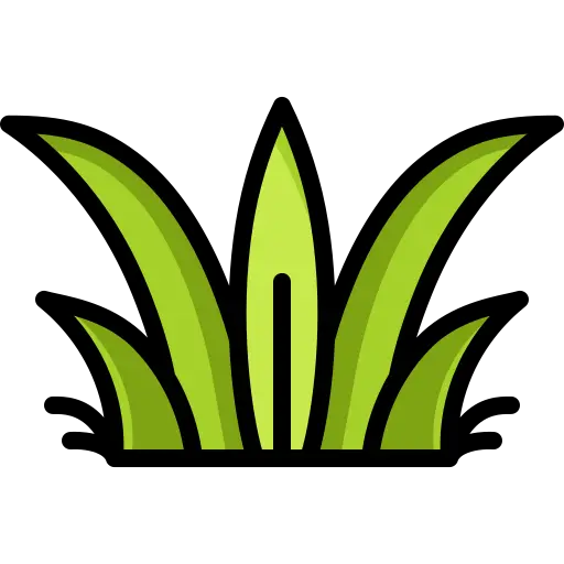 Remoção de grama e efeitos visuais